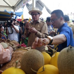 Kabupaten Serang Akan Ditetapkan Jadi Kabupaten Durian