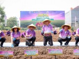 Memperkuat Ketahanan Pangan Diawali dari Membangun Desa